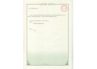 一種用(yong)于環模制(zhi)粒機的減(jian)震裝置反(fan)面