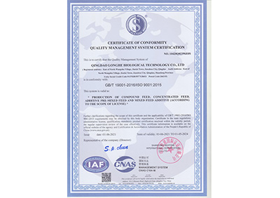 質(zhi)量管理(li)體系認(ren)證證書(shu)-英文